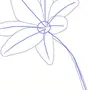 Как нарисовать лилию