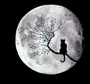 Луна Рисунок Карандашом