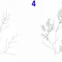 Как нарисовать ветку мимозы