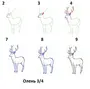 Как легко нарисовать оленя