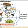 Нарисовать Природное Сообщество 5 Класс Биология