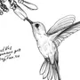Нарисовать птицу карандашом