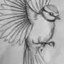 Нарисовать Птицу Карандашом