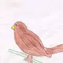 Как нарисовать воробья
