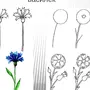 Как нарисовать цветок василек