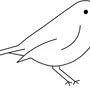 Птичка рисунок карандашом