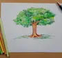 Рисунок цветными карандашами для начинающих
