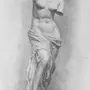 Венера академический рисунок