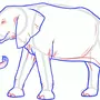Слон Рисунок Карандашом