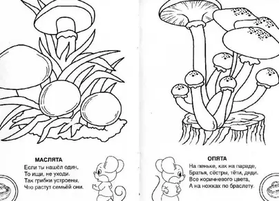 Нарисовать съедобный гриб