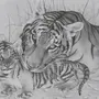 Нарисовать Тигра