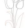 Как Легко Нарисовать Тюльпан