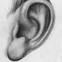 Как нарисовать ухо