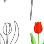 Цветок рисунок карандашом для детей
