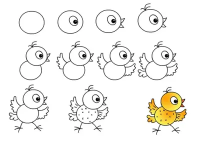 Как нарисовать цыпленка поэтапно