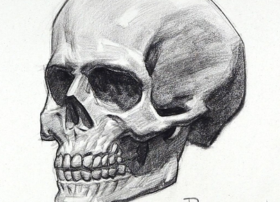 Нарисовать череп