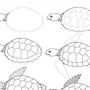 Нарисовать черепаху ребенку 1 класс