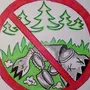 Экологический Знак Рисунок