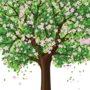 Весеннее дерево рисунок
