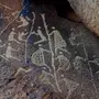 Древние рисунки на камнях