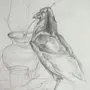 Натюрморт с чучелом птицы рисунок