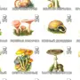Ядовитые грибы рисунки
