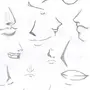 Как Нарисовать Аниме Нос