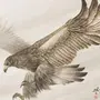 Орел в полете рисунок
