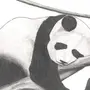 Панды картинки нарисованные