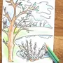 Рисунок весна карандашом