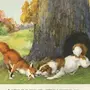 Рисунок к сказке петух и собака