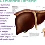 Распечатать Рисунок На Нескольких Листах А4