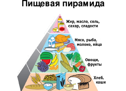 Пищевая пирамида 5 класс технология рисунок