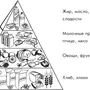 Пищевая Пирамида 5 Класс Технология Рисунок