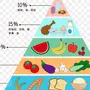 Пищевая пирамида 5 класс технология рисунок