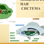 Письмо солдату рисунок карандашом