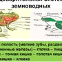 Категория Военные