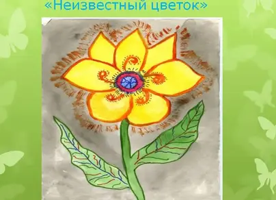 Рисунок неизвестный цветок платонов