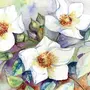 Весенние цветы рисунок акварелью