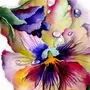 Весенние Цветы Рисунок Акварелью