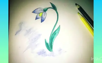 Подснежники рисунок карандашом для срисовки