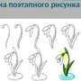 Подснежники рисунок карандашом для срисовки