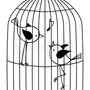 Попугай В Клетке Рисунок