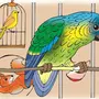Попугай в клетке рисунок
