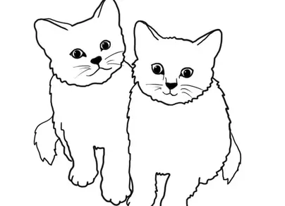 Два кота рисунок