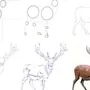 Как нарисовать разных животных