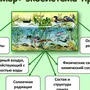 Рисунок Природного Сообщества 5 Класс Биология