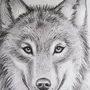 Как легко нарисовать волка