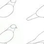 Нарисовать голубя