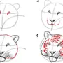 Как Нарисовать Тигра